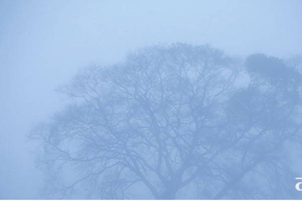 हिउँदमा वर्षा नहुने र चिसो नबढ्ने